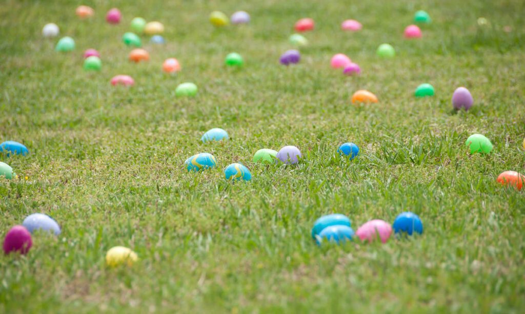Miracle League of Northampton County 2019 Easter Egg Hunt